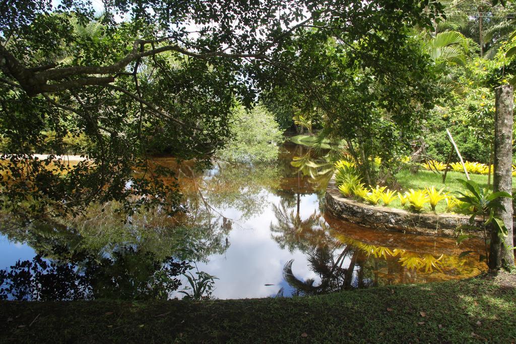 Resort Tororomba Olivença Buitenkant foto